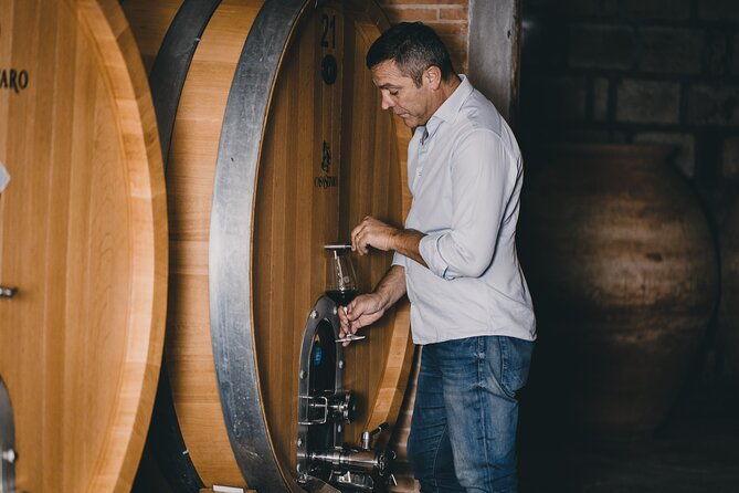 wine-tasting-and-winery-tour-in-vesuvio-national-park-with-lunch