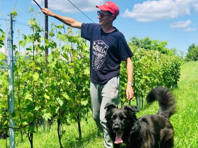 wine-tasting-and-winery-visit-near-asti-and-turin