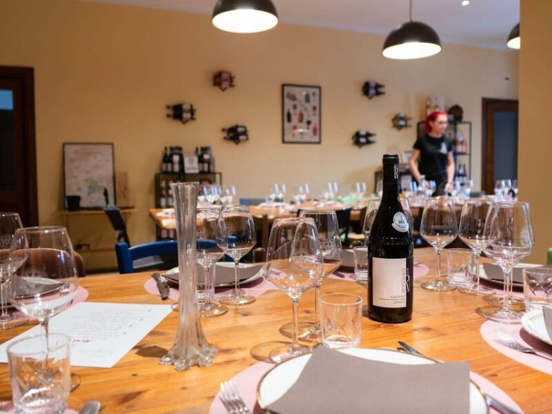 wine-tasting-and-winery-visit-near-asti-and-turin