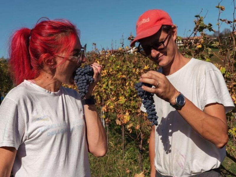 wine-tasting-and-winery-visit-near-asti-and-turin