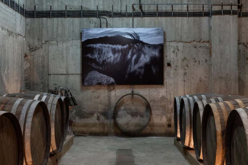 Wine Tasting at Paros Farming Community - Introducing the Wine Tasting at Paros Farming Community