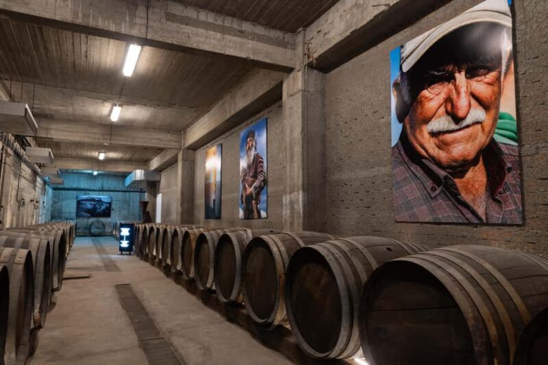 Wine Tasting at Paros Farming Community - Summary of the Experience