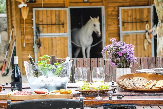 wine-tasting-at-quinta-das-murgas-2