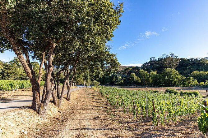 wine-tasting-at-quinta-das-murgas