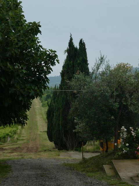 wine-tasting-at-terre-rosse-vallania-history-nature-tradition