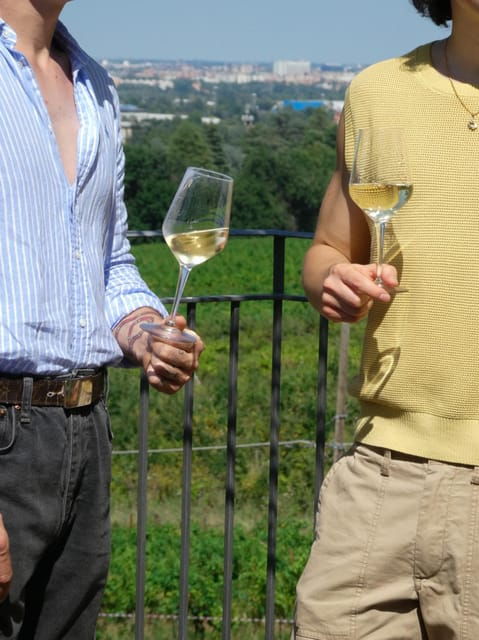 wine-tasting-at-terre-rosse-vallania-history-nature-tradition