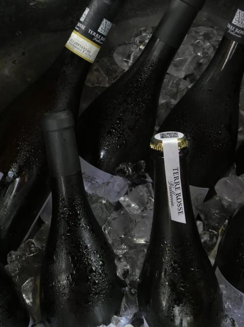 wine-tasting-at-terre-rosse-vallania-history-nature-tradition