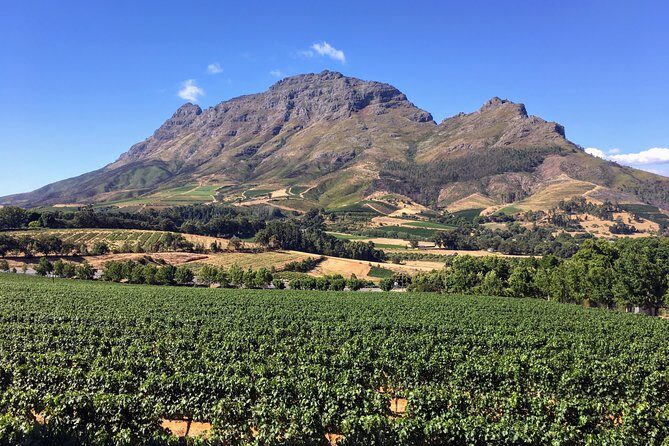 Wine tasting - Boutique farms - Key Points