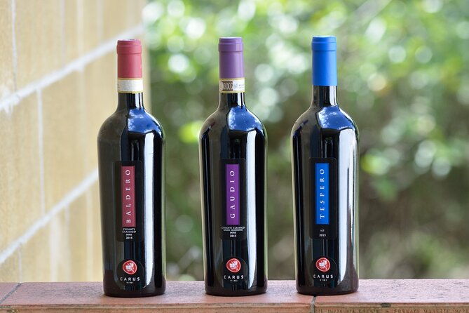 wine-tasting-by-carusvini-in-san-casciano-in-val-di-pesa