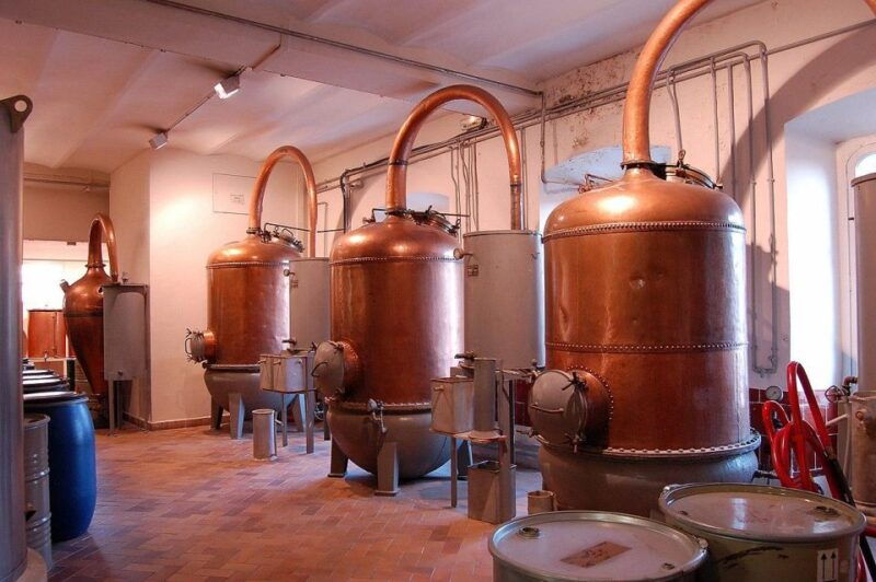 wine-tasting-cannes-famous-designers-and-perfume-factory