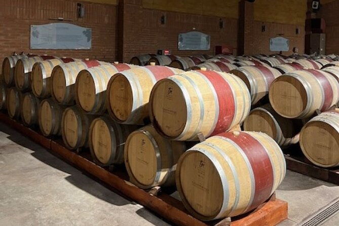 wine-tasting-day-tour-to-vineyard-casas-del-bosque-in-casablanca