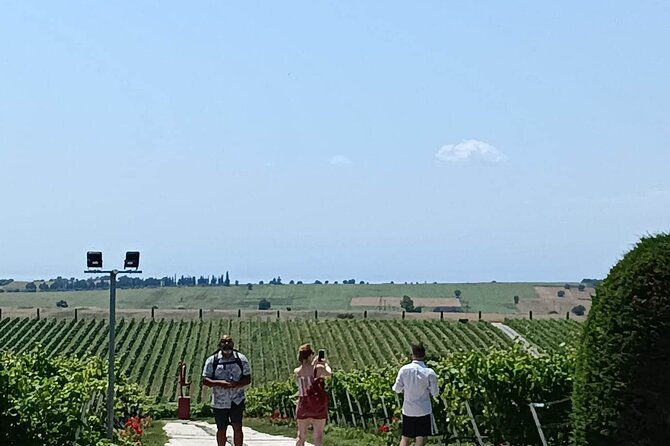 wine-tasting-experience-from-thessaloniki