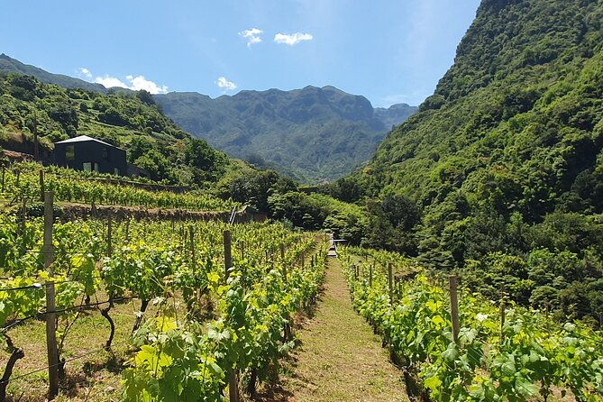 wine-tasting-experience-in-boaventura-madeira-north-coast