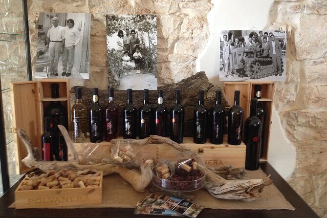 Wine tasting experience in the Apulian countryside - A Scenic Journey into Puglia’s Wine Heritage