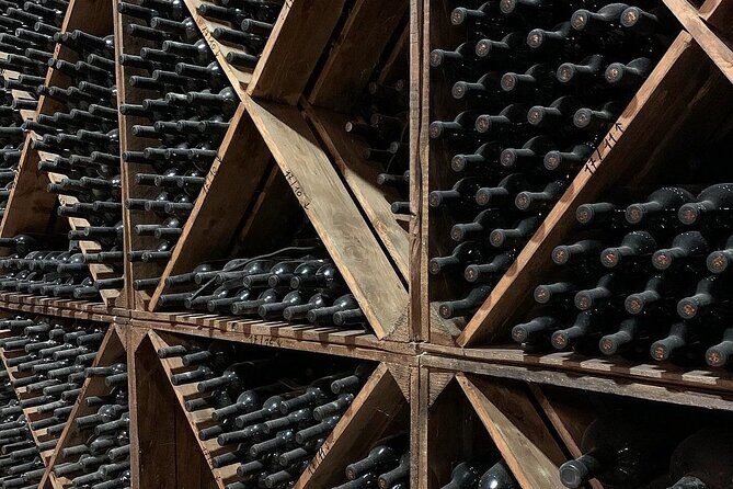 Wine tasting experience in the Apulian countryside - Transport and Logistics