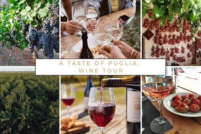 Wine tasting experience in the Apulian countryside - What Reviewers Say