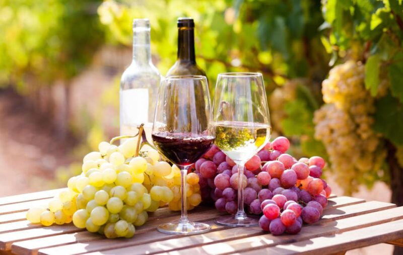 wine-tasting-experience-in-the-vesuvius-wineries