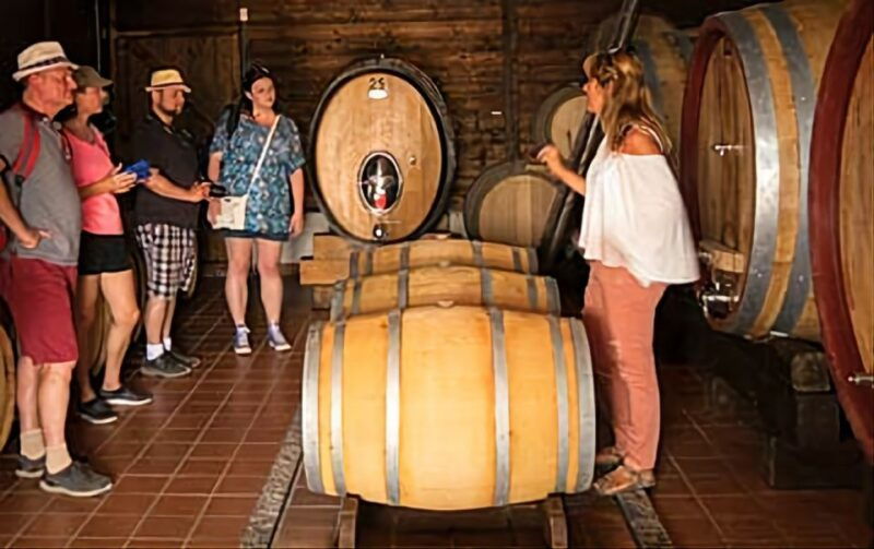 wine-tasting-experience-on-the-slopes-of-vesuvius