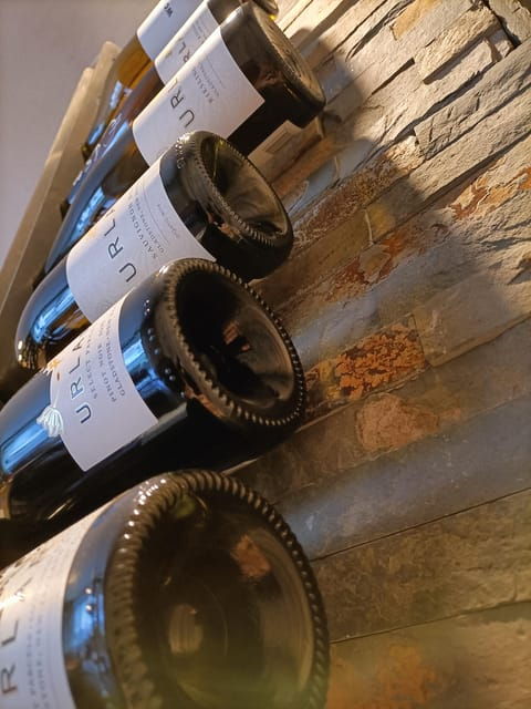 wine-tasting-experience-with-cheese-and-cold-cuts