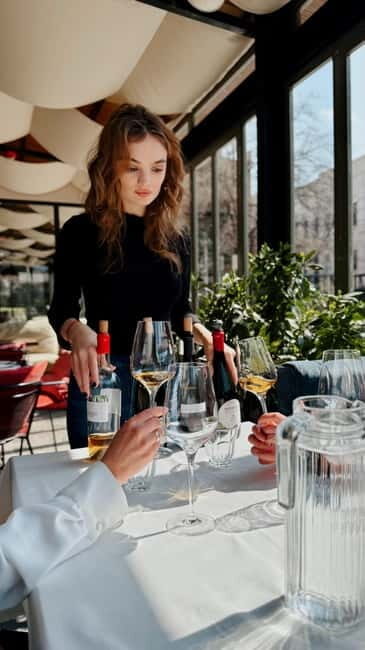 Wine Tasting feel the Difference of Qvevri or Classical Wine - Practical Considerations