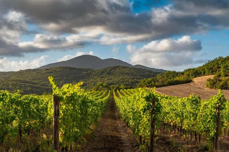 Wine tasting in a romantic castle with archaeologist guide - FAQs