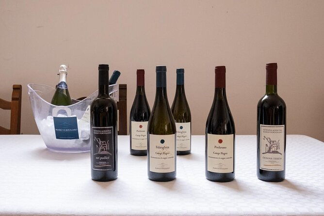 wine-tasting-in-campi-flegrei-from-naples