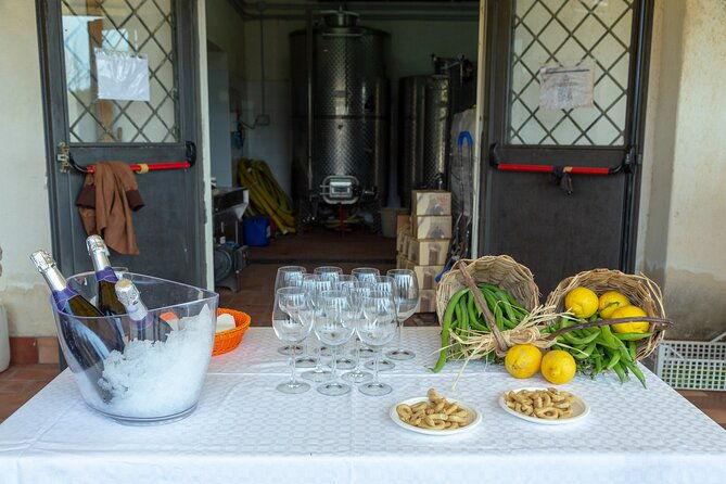 wine-tasting-in-campi-flegrei-from-naples