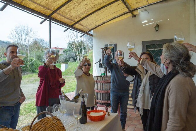 wine-tasting-in-campi-flegrei-from-naples