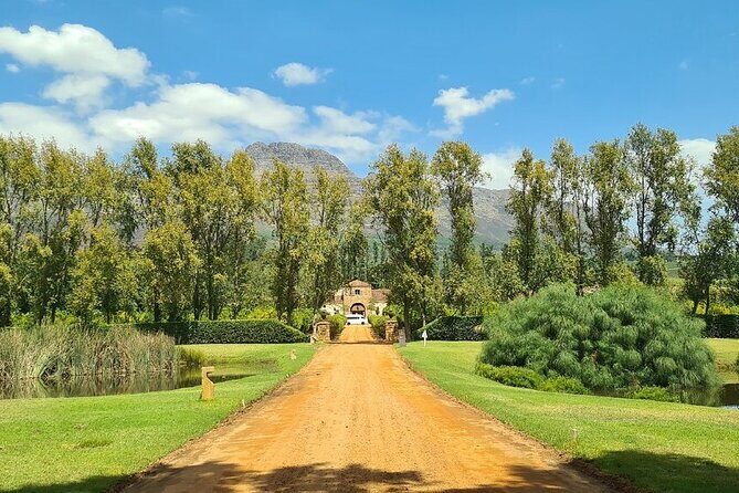 Wine tasting in Cape Winelands Tour - Key Points