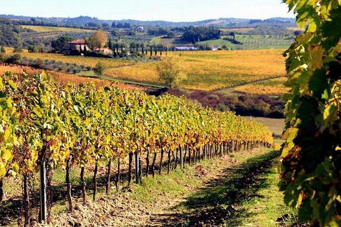 wine-tasting-in-chianti-visiting-castellina-in-tuscany-from-rome
