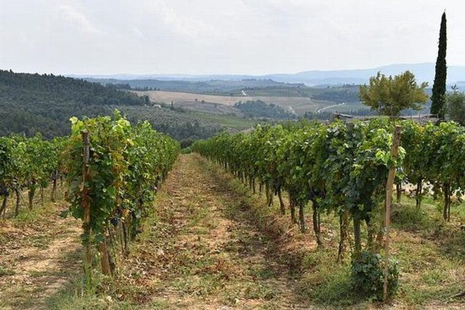 wine-tasting-in-chianti-visiting-castellina-in-tuscany-from-rome