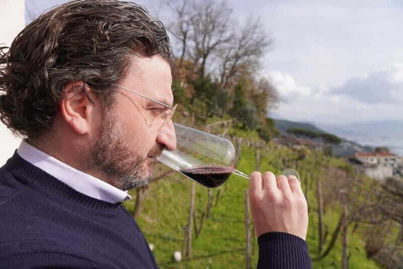 Wine tasting in Cilento with professional sommelier. - Introduction