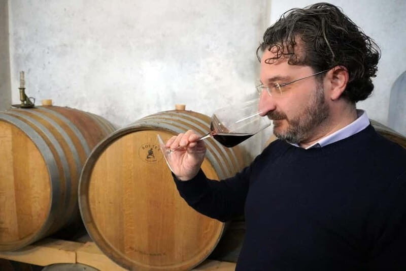 Wine tasting in Cilento with professional sommelier. - The Sum Up