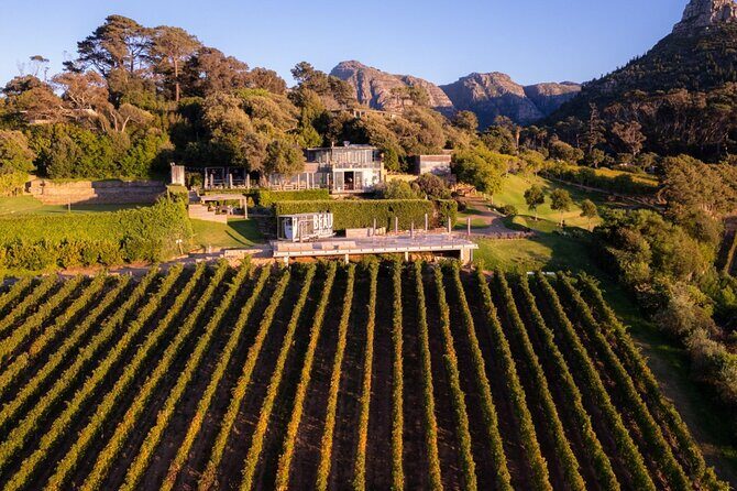 Wine Tasting in Constantia Region Cape Town - What to Expect from Your Day
