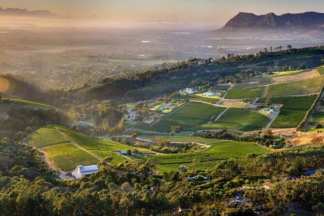 Wine Tasting in Constantia Region Cape Town - Authentic Experiences & Review Highlights