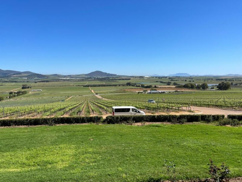 Wine tasting in FranschHoek, StellenBosch & Paarl Tour - Introduction to the Tour Experience