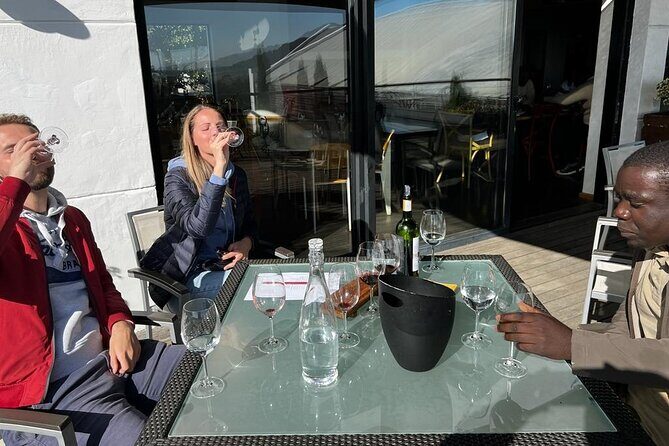 Wine tasting in FranschHoek, StellenBosch & Paarl Tour - Final Thoughts