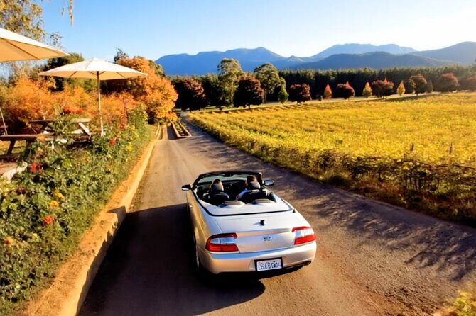 Wine Tasting in Gibbston Self Guided Audio Tour - How the Experience Feels in Practice