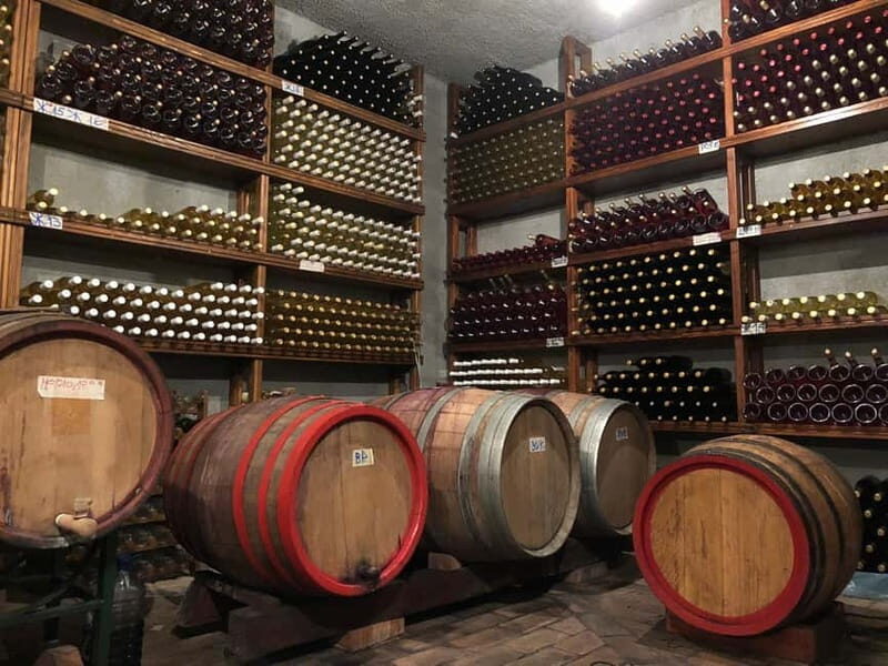 Wine Tasting in Herceg Novi - Final Thoughts