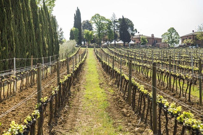 wine-tasting-in-montepulciano-and-visit-to-pienza-in-tuscany-from-rome