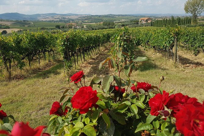 wine-tasting-in-montepulciano-and-visit-to-pienza-in-tuscany-from-rome