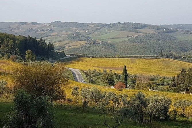 wine-tasting-in-montepulciano-and-visit-to-pienza-in-tuscany-from-rome