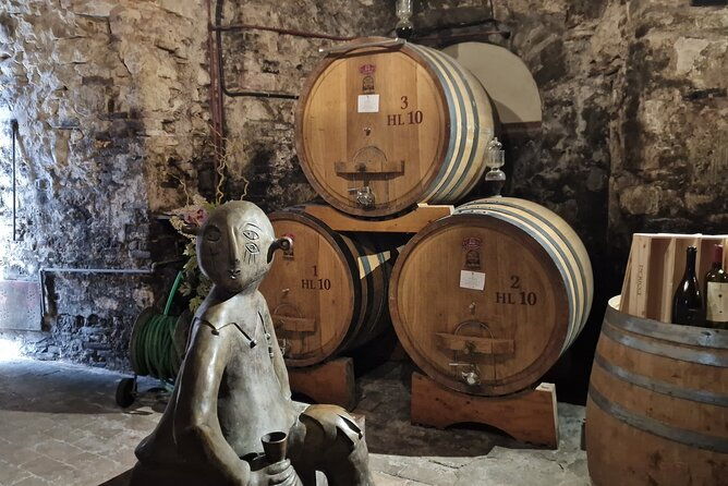 wine-tasting-in-montepulciano-tuscany-private-tour-from-rome