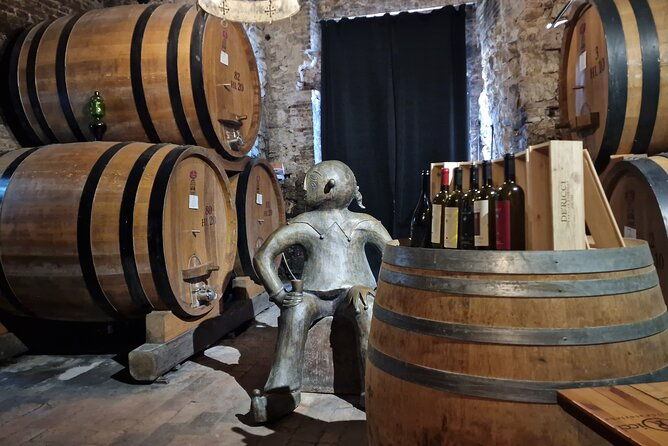 wine-tasting-in-montepulciano-with-visit-to-the-vineyards-private-tour