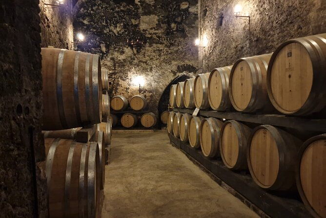 wine-tasting-in-montepulciano-with-visit-to-the-vineyards-private-tour