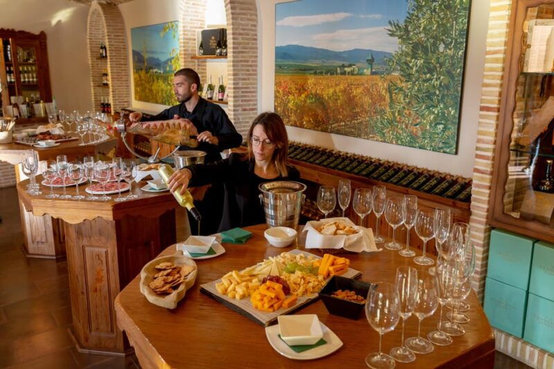 wine-tasting-in-the-best-winery-in-spain-from-alicante