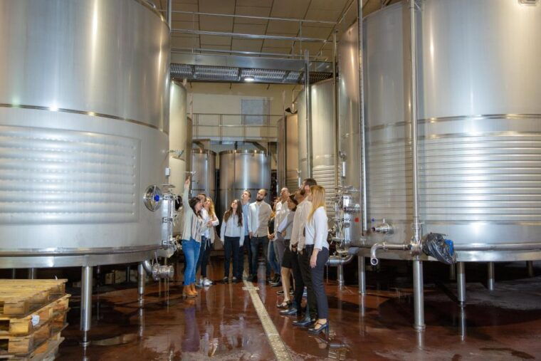 wine-tasting-in-the-best-winery-in-spain-from-alicante