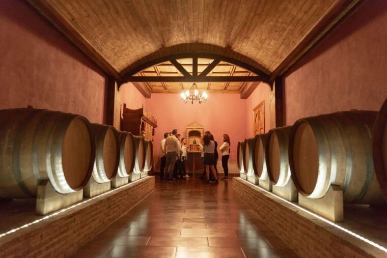 wine-tasting-in-the-best-winery-in-spain-from-alicante