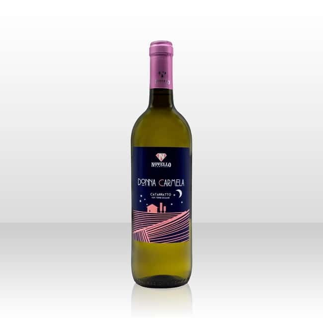 Wine tasting in the cellar - Key Points