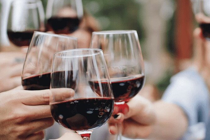 wine-tasting-in-the-collio-wine-area-guided-tour-of-cividale